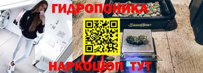 ГАЛЛЮЦИНОГЕННЫЕ ГРИБЫ Ирбит