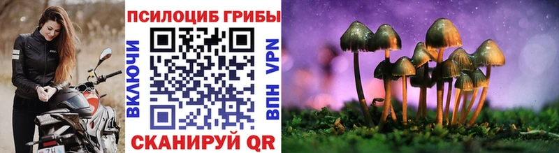 Галлюциногенные грибы Psilocybe  Саранск 