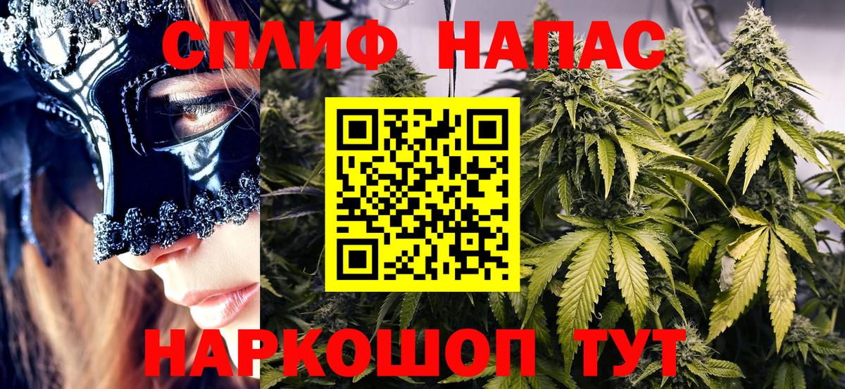 Конопля SATIVA & INDICA Саранск